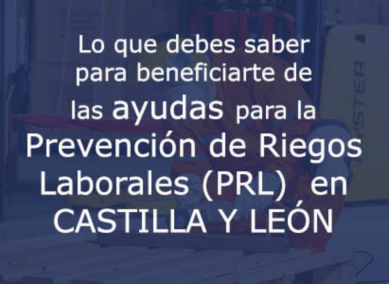 subvención castilla y leon
