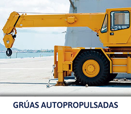 gruas autopropulsadas
