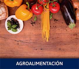 Sector Agroalimentación