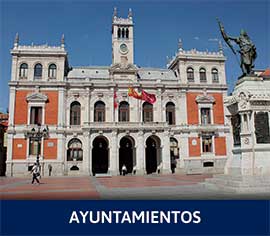 Sector Ayuntamientos