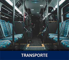 Sector Transporte